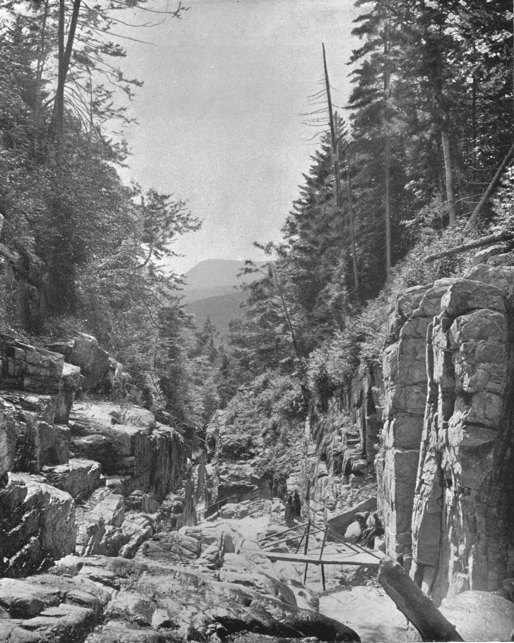 द फ्ल्यूम, फ्रेंकोनिया व्हाइट माउंटेंस, न्यू हैम्पशायर, यूएसए, c1900। द्वारा अज्ञात
