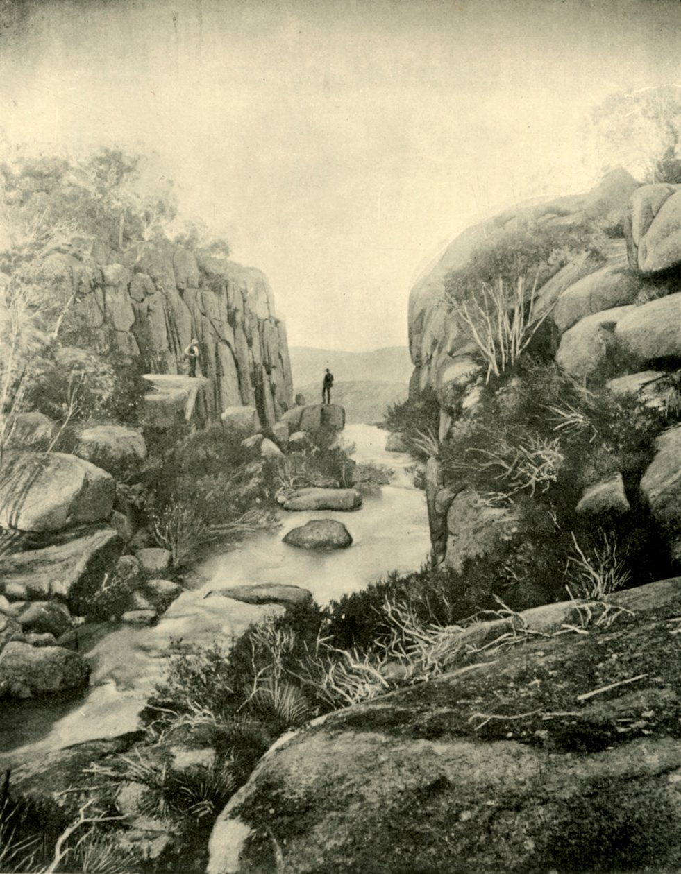 द जॉर्ज, बफ़ेलो फॉल्स, विक्टोरियन एल्प्स, 1901। द्वारा अज्ञात
