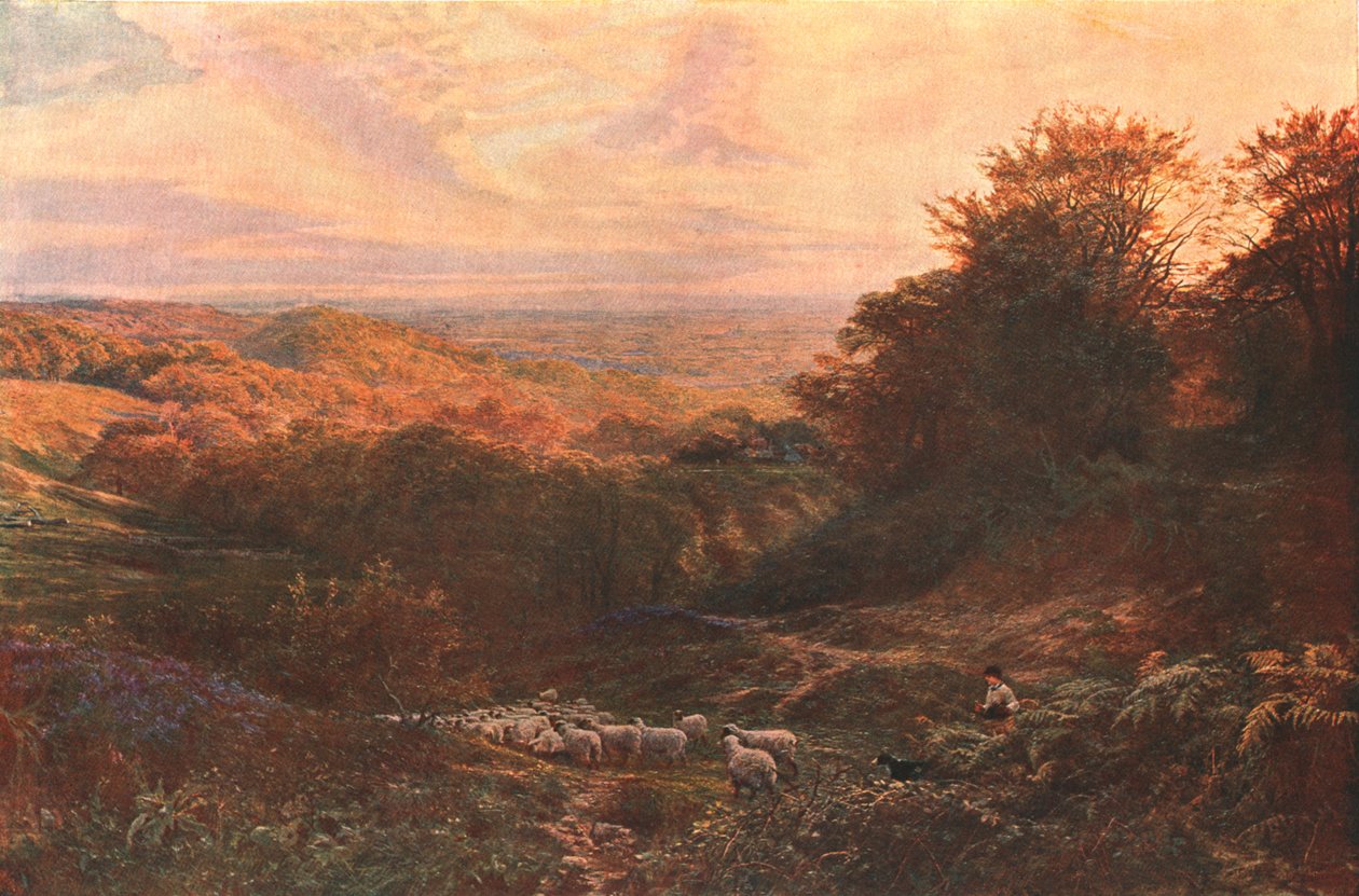द हार्ट ऑफ़ सरे, 1874, c1902। द्वारा अज्ञात