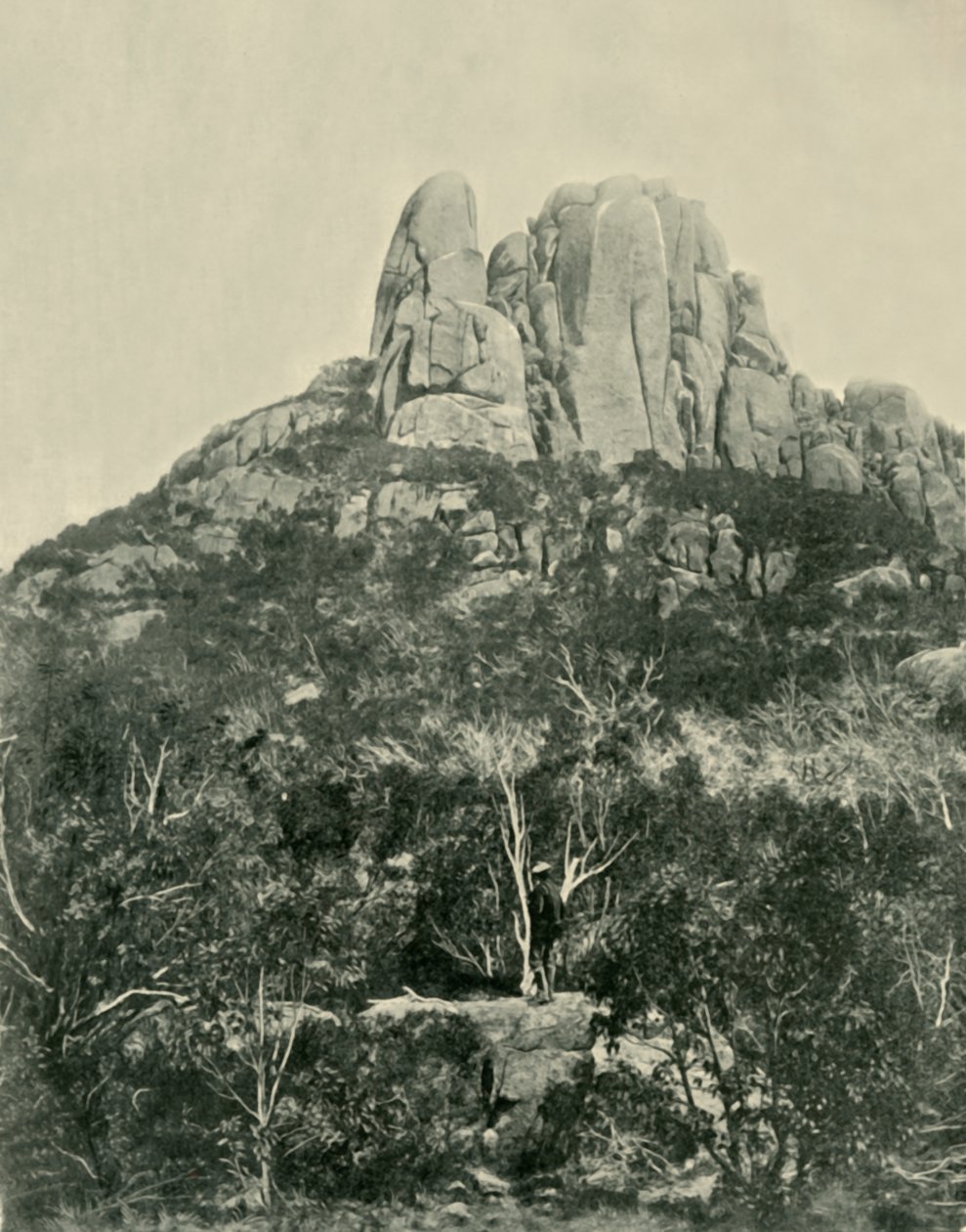द हंप, बफ़ेलो पर्वत, 1901। द्वारा अज्ञात