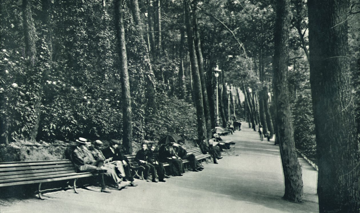 द इनवैलिड्स वॉक, c1910 द्वारा अज्ञात