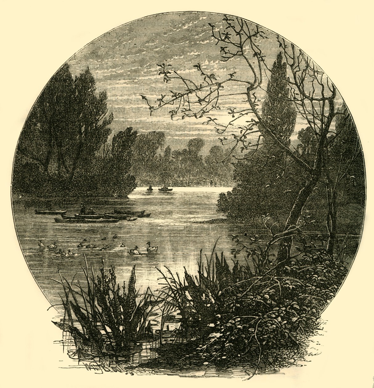 द लेक, बैटरसी पार्क, c1878। द्वारा अज्ञात