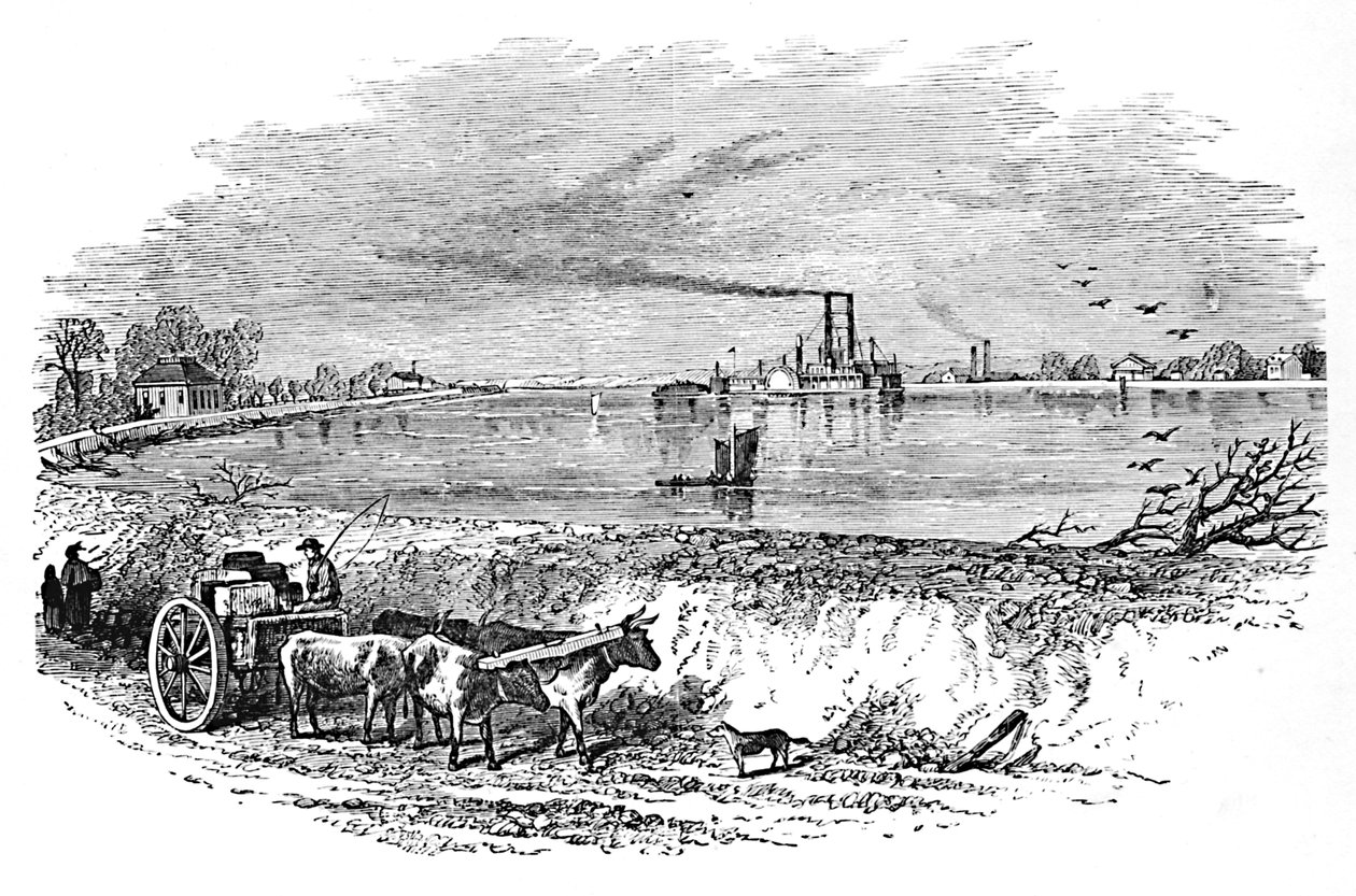 द लेवे, 1883 द्वारा अज्ञात