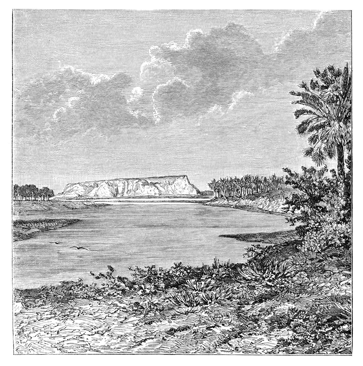 द बाउंड ऑफ बबिल, इराक, 1895 द्वारा अज्ञात