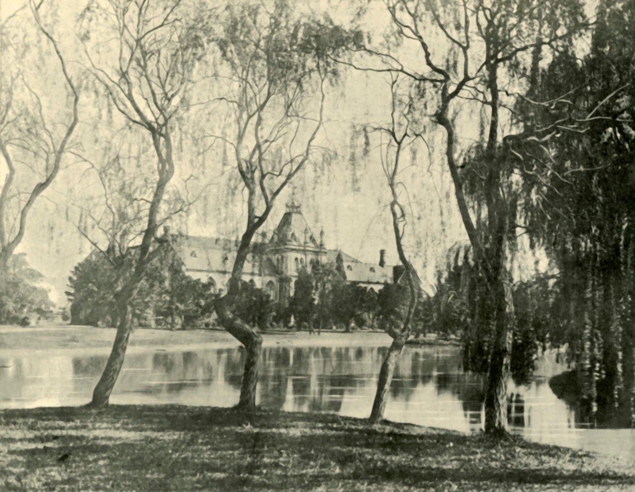 संग्रहालय। मेलबोर्न विश्वविद्यालय, 1901। द्वारा अज्ञात