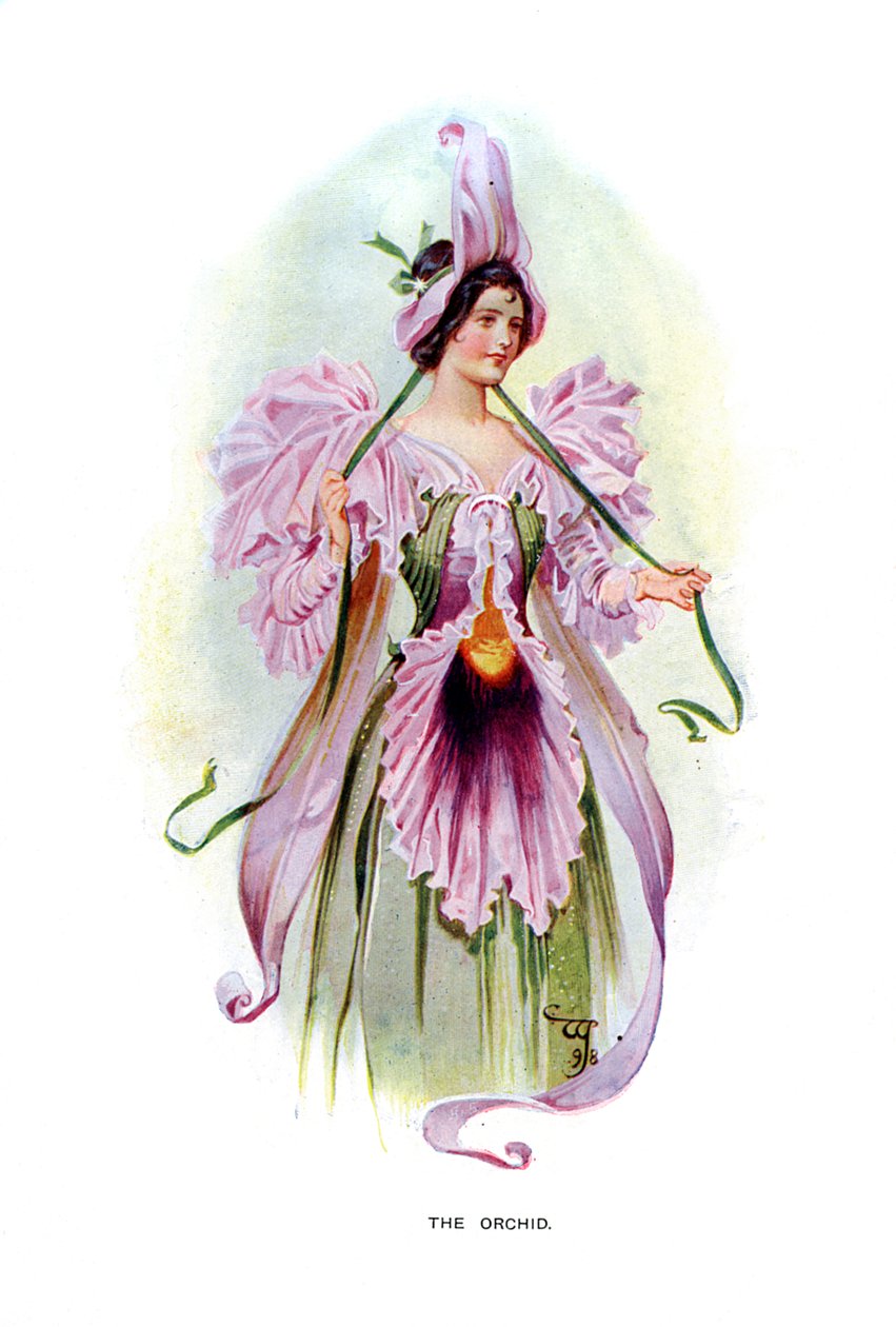 द ऑर्किड, 1899 द्वारा अज्ञात