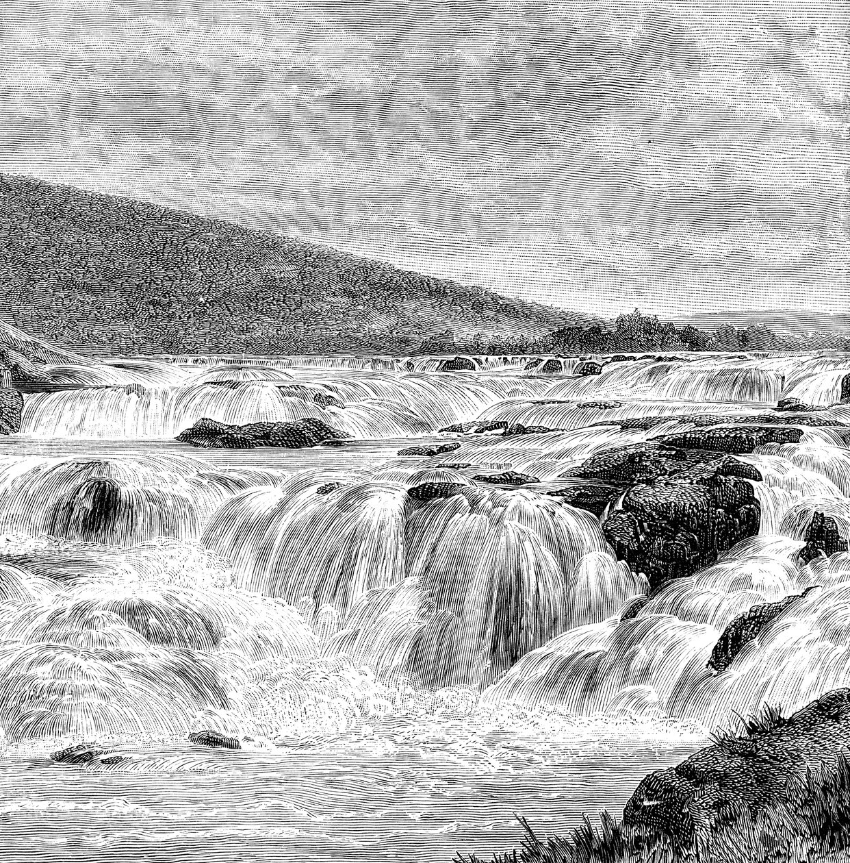 1895 में नीलगिरी, भारत में पायकरी फॉल द्वारा अज्ञात