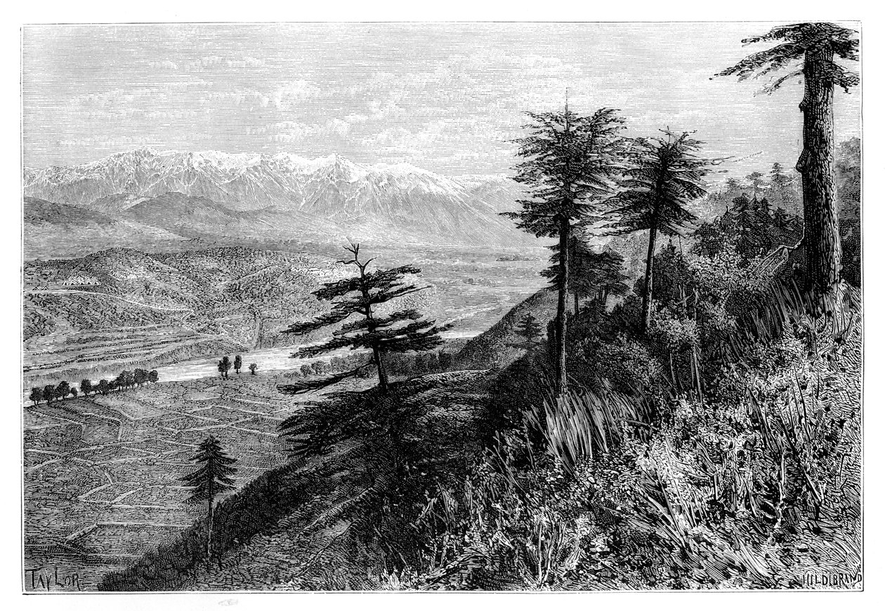 पाइवर दर्रा, 1895 द्वारा अज्ञात