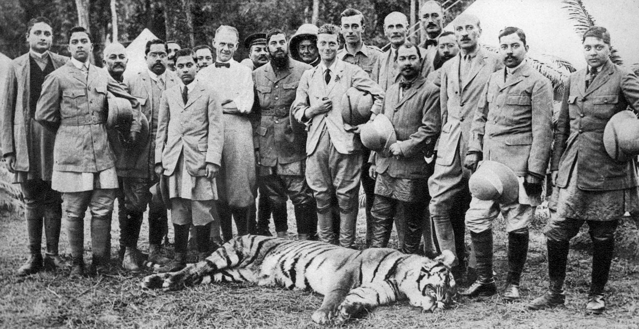 द प्रिंस ऑफ वेल्स बाघ की शूटिंग नेपाल में, भारतीय टूर, 1921 द्वारा अज्ञात