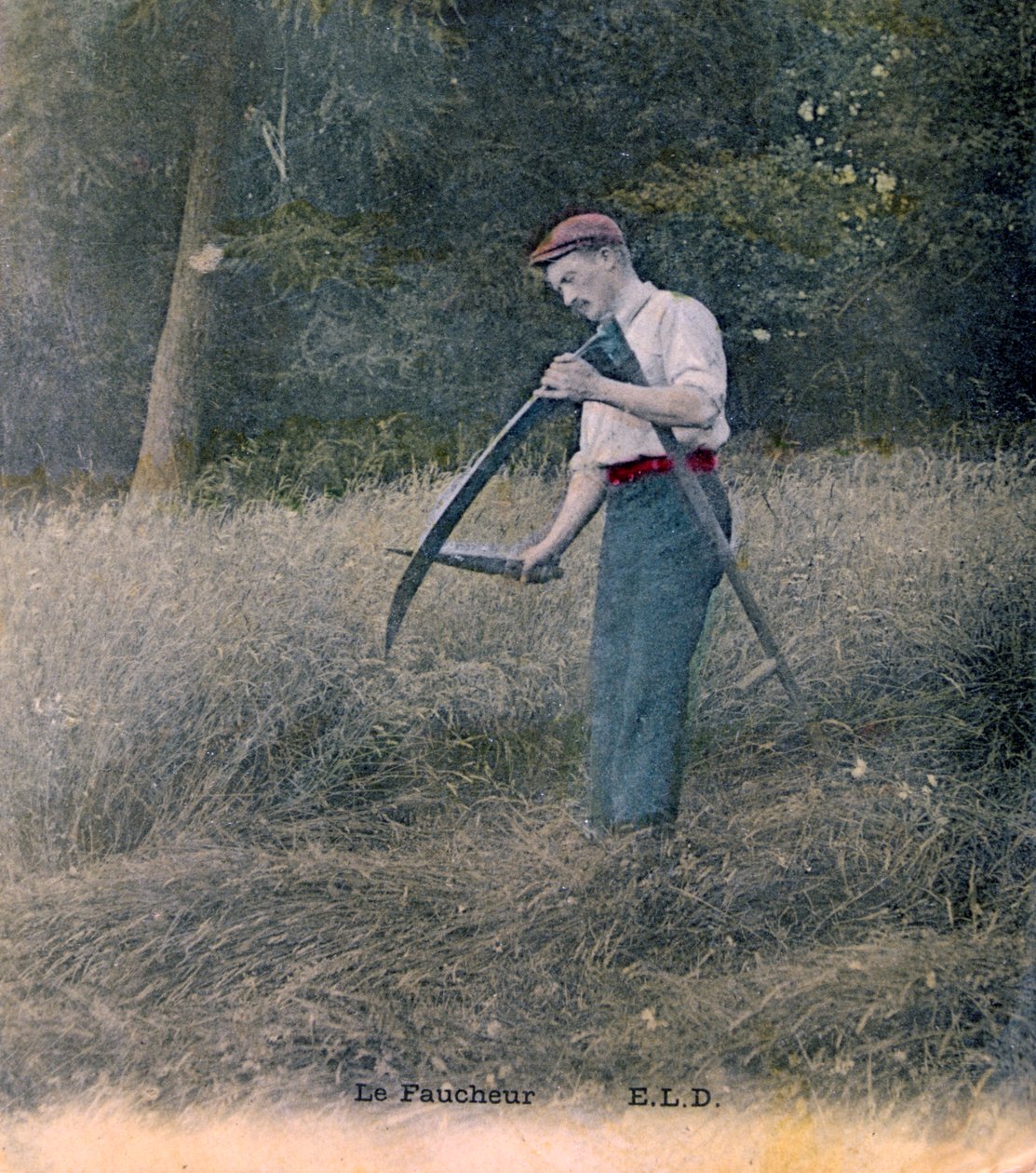लावक, c1900 द्वारा अज्ञात