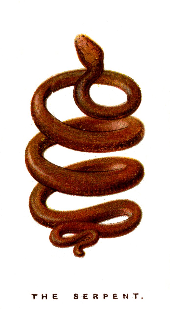द सर्प, 1923 द्वारा अज्ञात