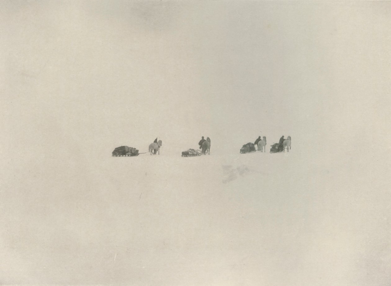 सदर्न पार्टी मार्चिंग इन द व्हाइट अननोन, 1908, 1909। द्वारा अज्ञात