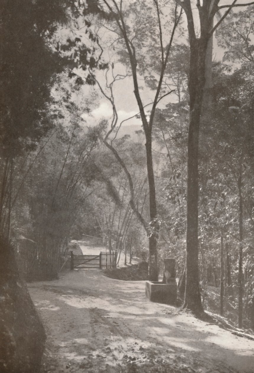 तिजुका की आत्मा, 1914 द्वारा अज्ञात