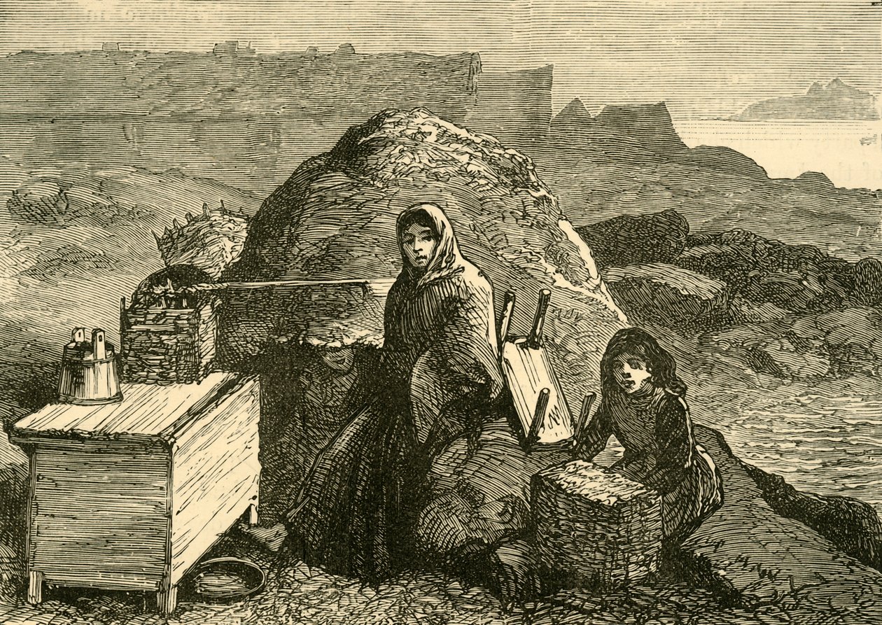 द स्टेट ऑफ़ आयरलैंड: ए इवेटेड फैमिली नियर एर्रिस्मोर, सी 1880। द्वारा अज्ञात