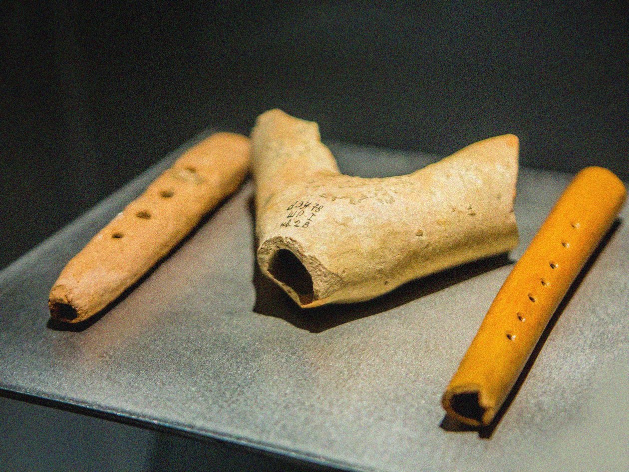 द साइबीज़गी द्वारा अज्ञात