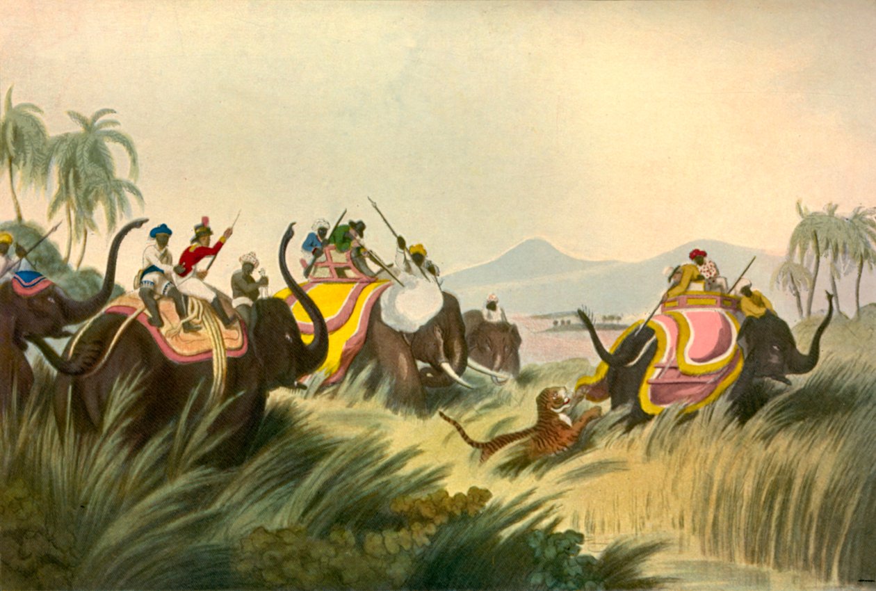 द टाइगर हंट, c1808, 1901। द्वारा अज्ञात