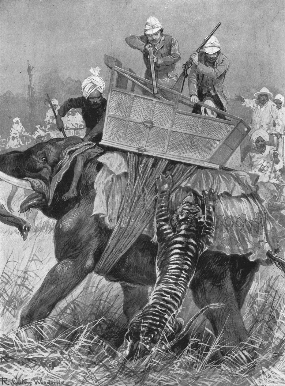 द प्रिंस ऑफ़ वेल्स की भारत यात्रा, 1876: द प्रिंसेस एलिफेंट टाइगर, 1901। द्वारा अज्ञात