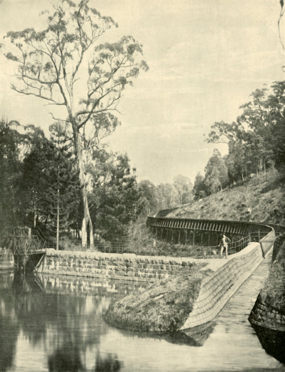 द वियर एंड फ्लमिंग, किर्क रिज़र्वेर, 1901। द्वारा अज्ञात