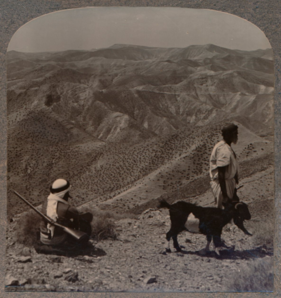 यहूदिया का जंगल, और स्कैपजोट का स्थान, c1900 द्वारा अज्ञात