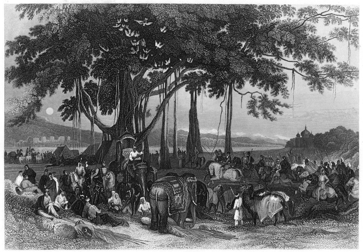 सिख अनियमित घुड़सवार सेना, भारत के युद्ध बल का आगमन, c1860 द्वारा अज्ञात