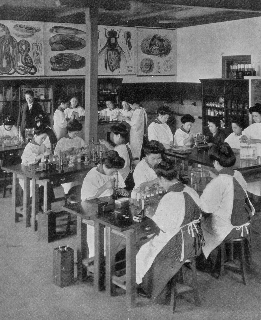 जापान में महिलाओं की उच्च शिक्षा, 1910 द्वारा अज्ञात
