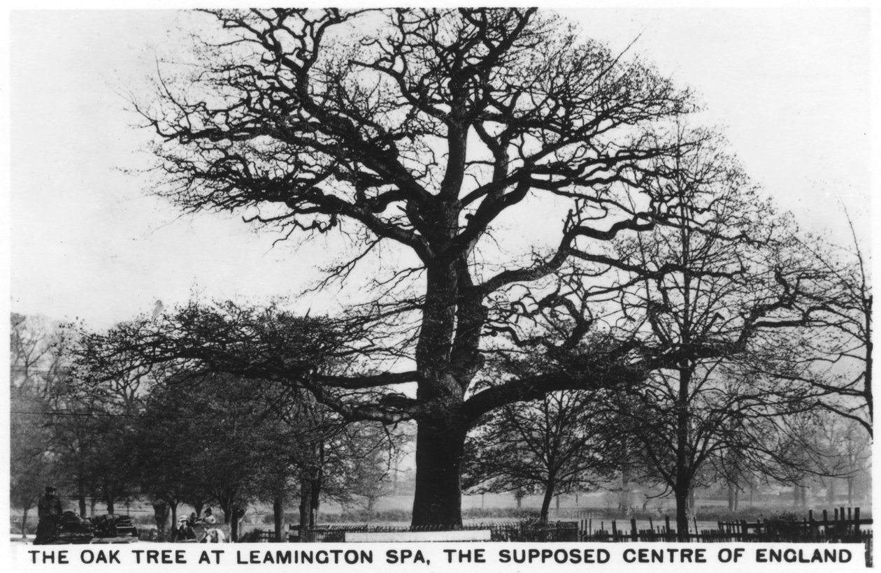 लेमिंगटन स्पा में ओक, इंग्लैंड का माना केंद्र, 1936 द्वारा अज्ञात