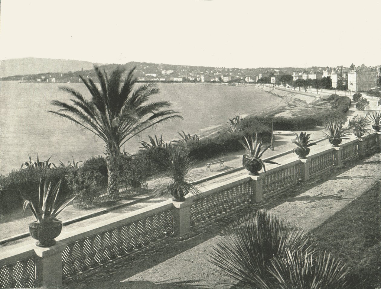 ला क्रोइसेट, कान्स, फ्रांस का पैनोरमा, 1895। द्वारा अज्ञात