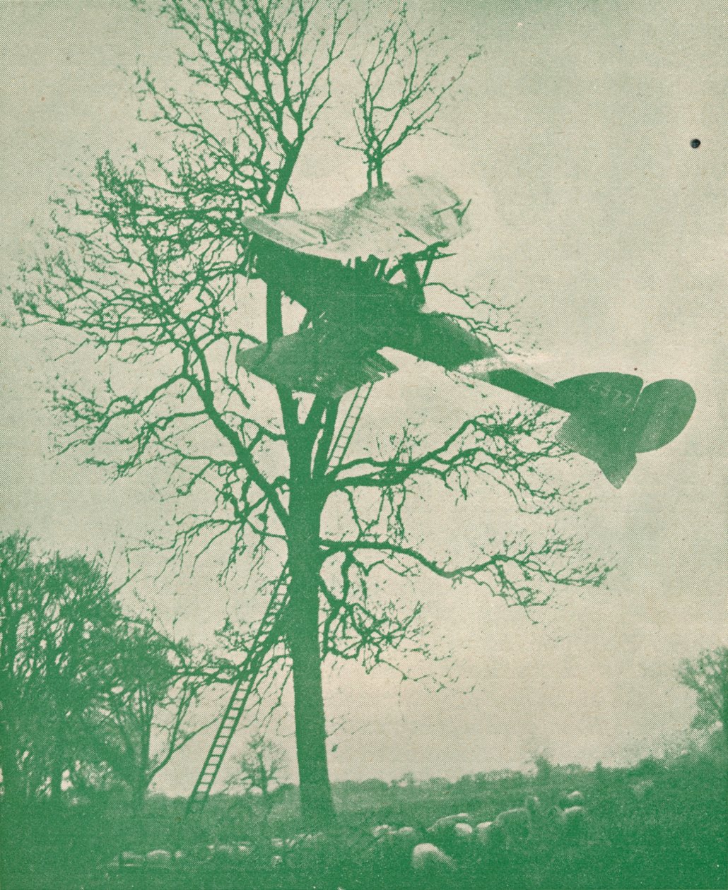 रात के उड़ने का जोखिम, c1918 1919 द्वारा अज्ञात
