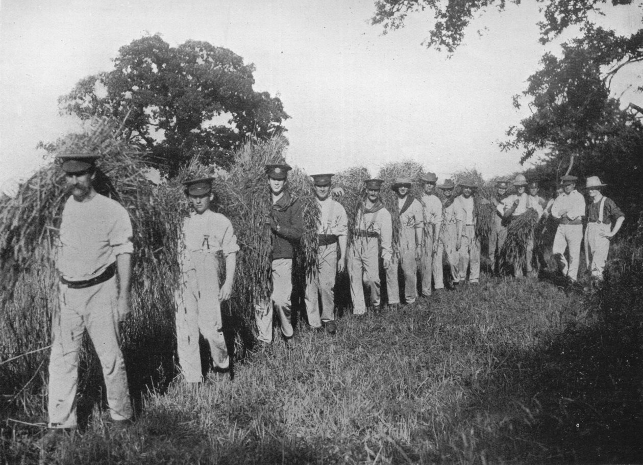 खेत श्रम की कमी: फसल की सहायता करने वाले सैनिक, 1915 द्वारा अज्ञात