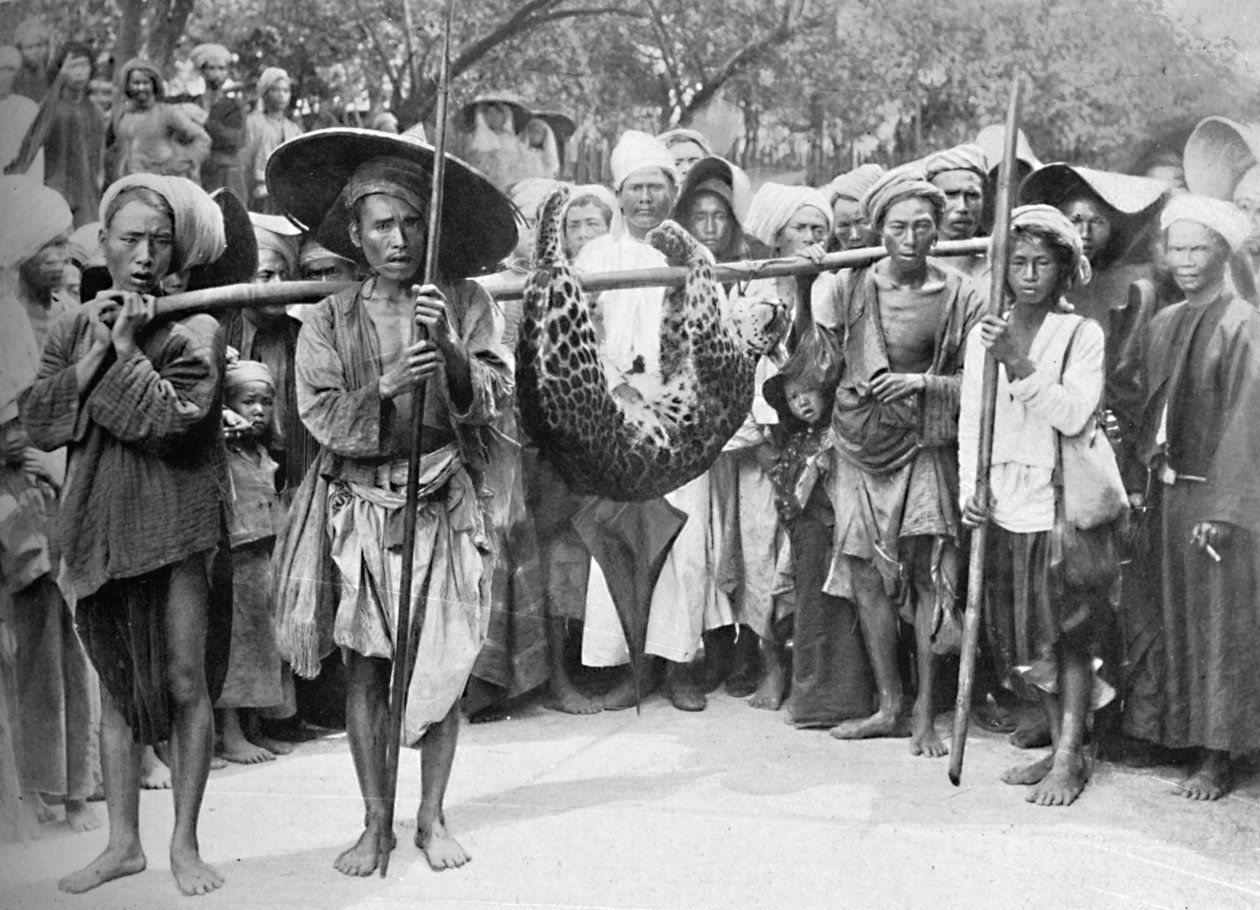 जंगल की लूट, 1902 द्वारा अज्ञात