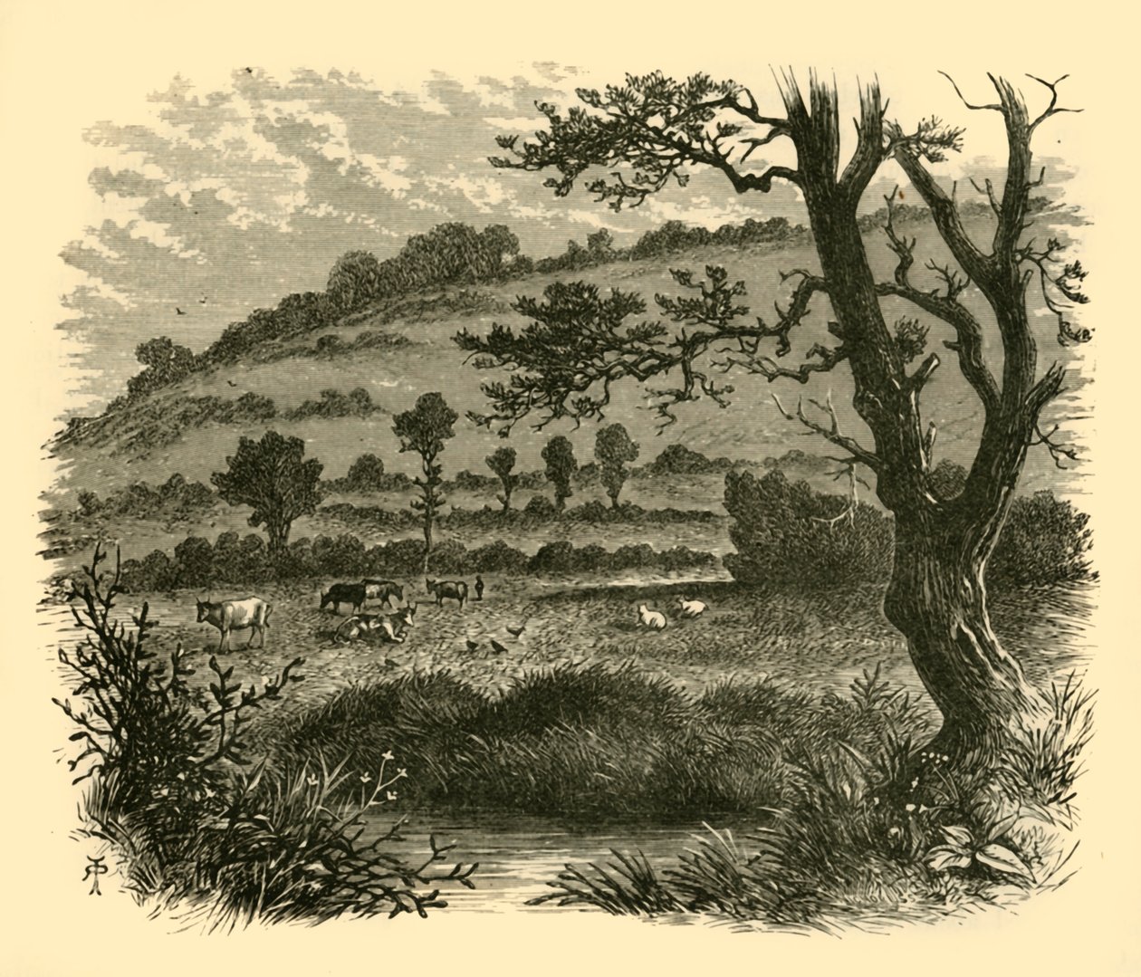 थिस्सलडन, 1898। द्वारा अज्ञात