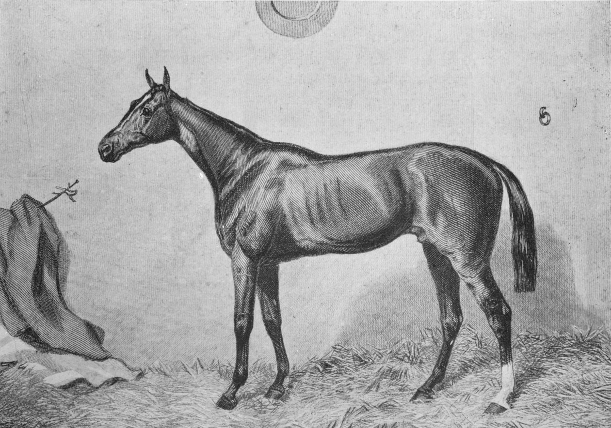 थोरमनबी, सी 1860, 1911 द्वारा अज्ञात
