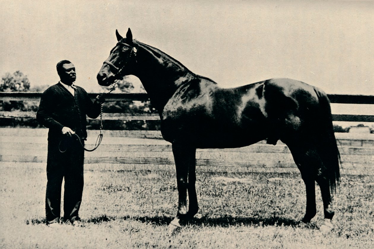 थोरोर्ब्रेड रेसहॉर्स, मैन ओ वार, c1920 द्वारा अज्ञात