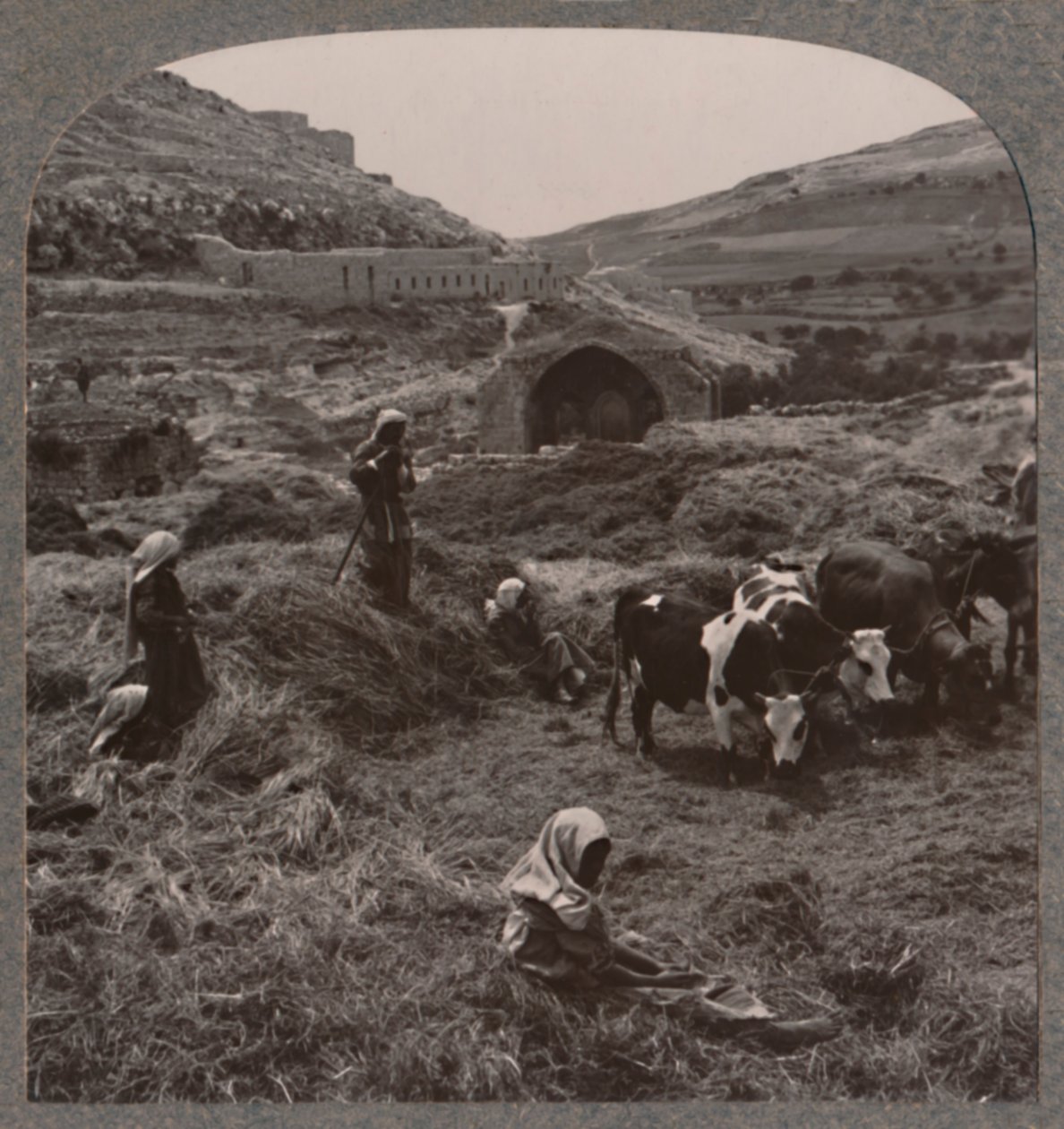 जैकब्स वेल के पास थ्रेसिंग ग्रेन, c1900 द्वारा अज्ञात