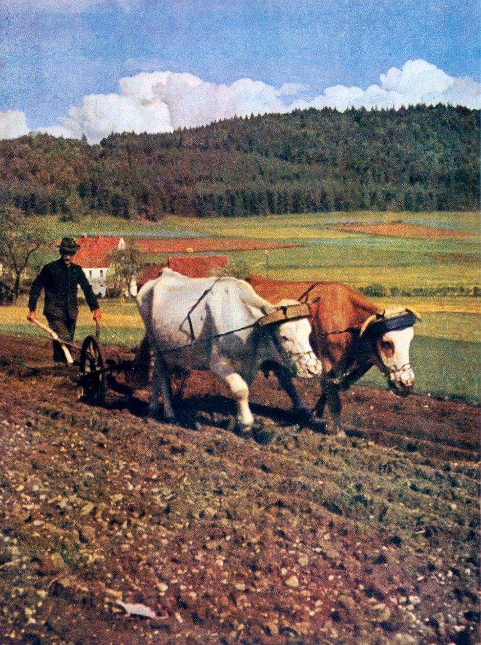 टिलिंग, जर्मनी, 1943 द्वारा अज्ञात
