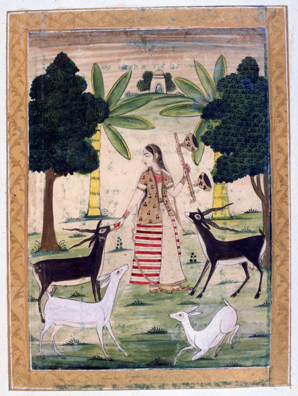 Todi Ragini, Ragamala Album, School of Rajasthan, 19th century द्वारा अज्ञात
