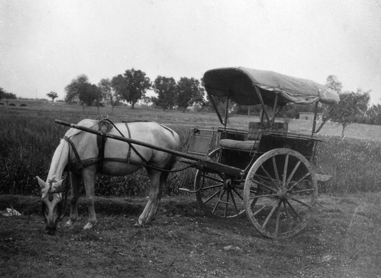 टोंगा घोड़ा गाड़ी, मुत्तरा, भारत, 1917 द्वारा अज्ञात