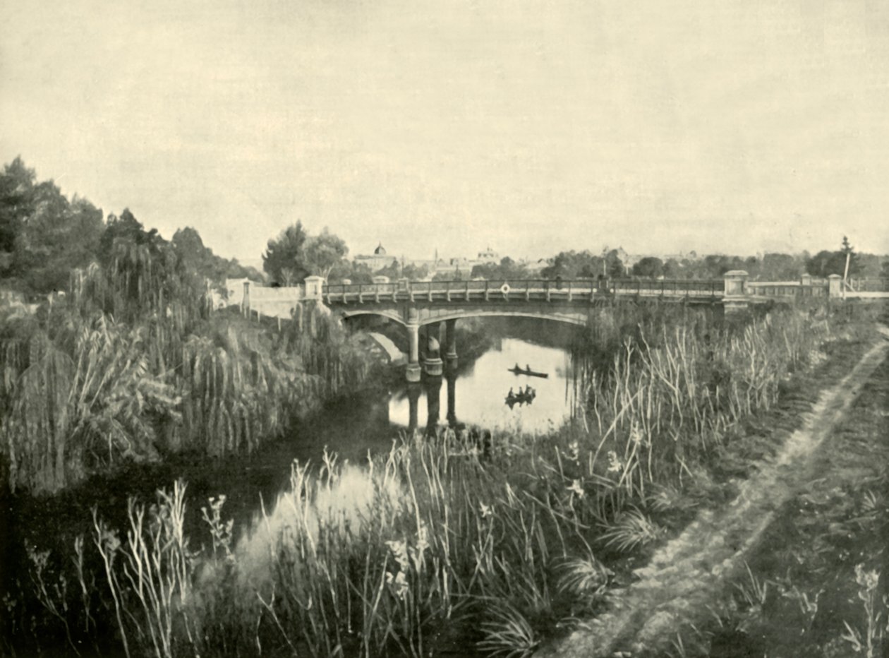 टॉरेंस लेक, एडिलेड, 1901। द्वारा अज्ञात