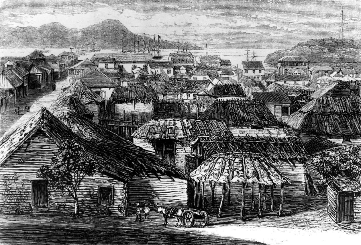 टाउन और प्योर्टो प्लाटा, सेंटो डोमिंगो की खाड़ी, 1873 द्वारा अज्ञात