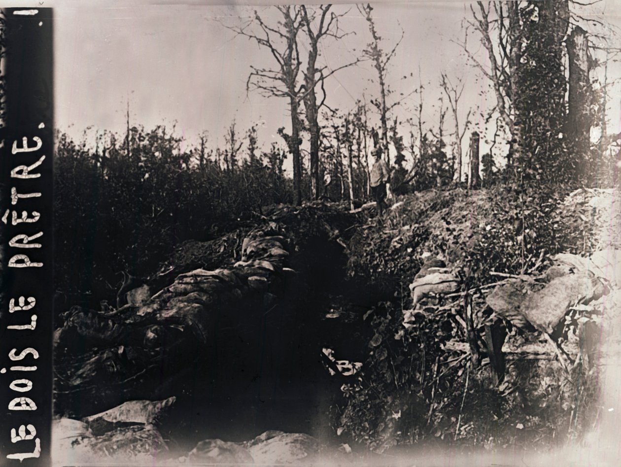 ट्रेंच, बोइस-ले-प्रेट्रे, लोरेन, उत्तरी फ्रांस, c1914-c1918 द्वारा अज्ञात