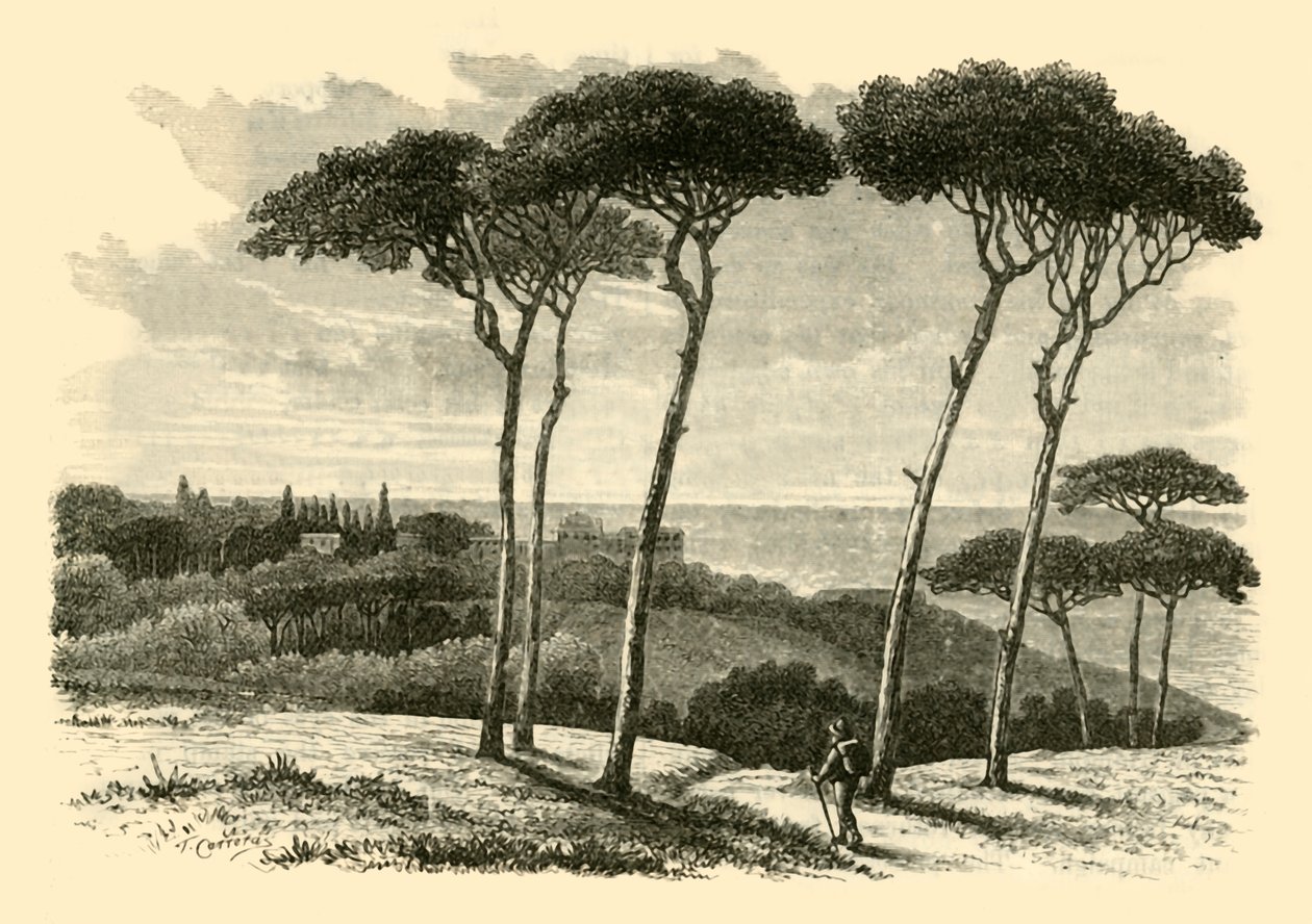 टस्कुलम, 1890। द्वारा अज्ञात