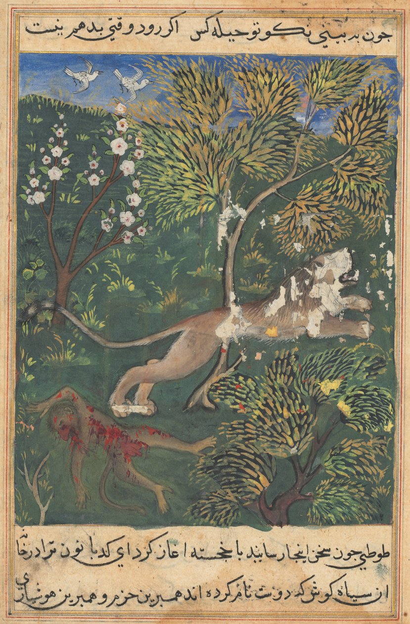 टुटी-नामा टेल्स ऑफ़ ए पैरट: टेल एक्सएक्सएक्स, सी। 1560। द्वारा अज्ञात
