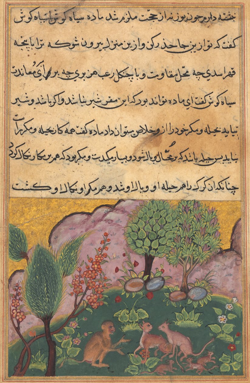टुटी-नामा टेल्स ऑफ़ ए पैरट: टेल एक्सएक्सएक्स, सी। 1560। द्वारा अज्ञात