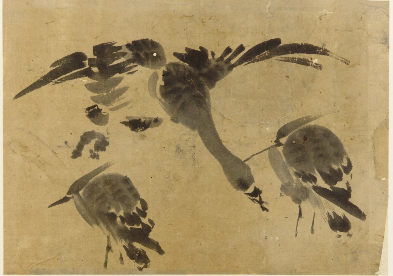 दो बगुले और एक हंस, ईदो काल, 1573-1615। द्वारा अज्ञात