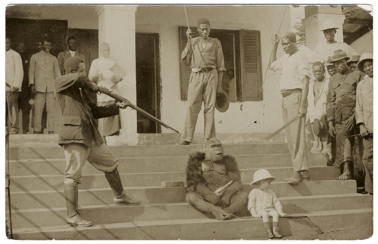 एक नामांकित गोरिल्ला, c.1910 (b / w फोटो) द्वारा अज्ञात