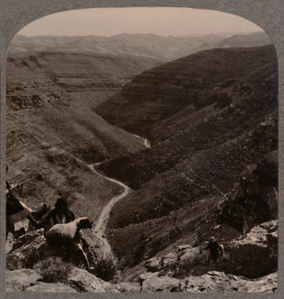 Arno की घाटी, चरवाहा और भेड़, अग्रभूमि में, c1900 द्वारा अज्ञात