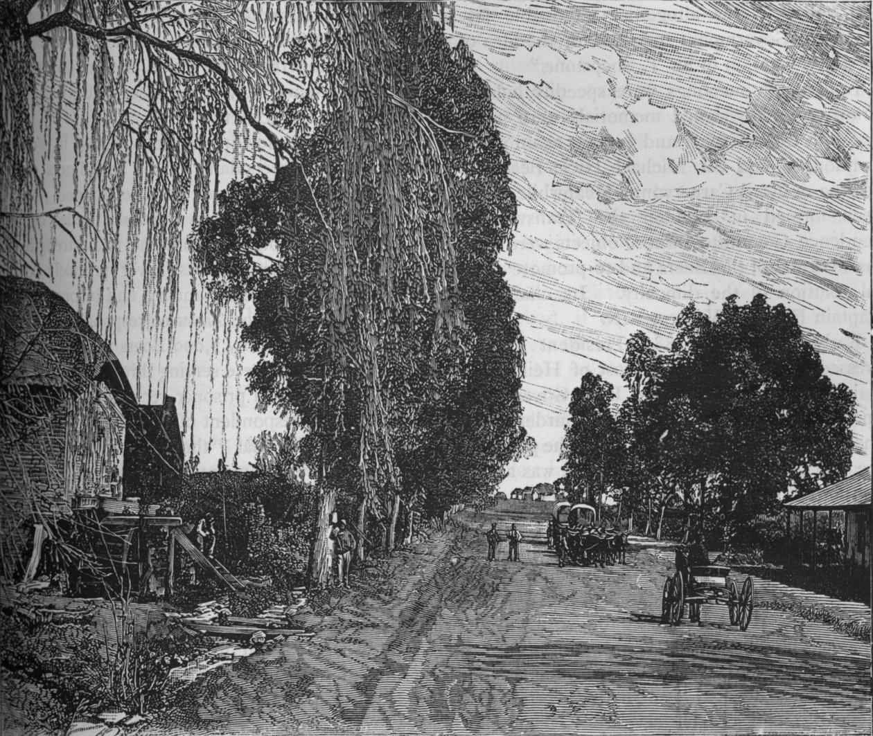 प्रिटोरिया के पास देखें, c1880 द्वारा अज्ञात