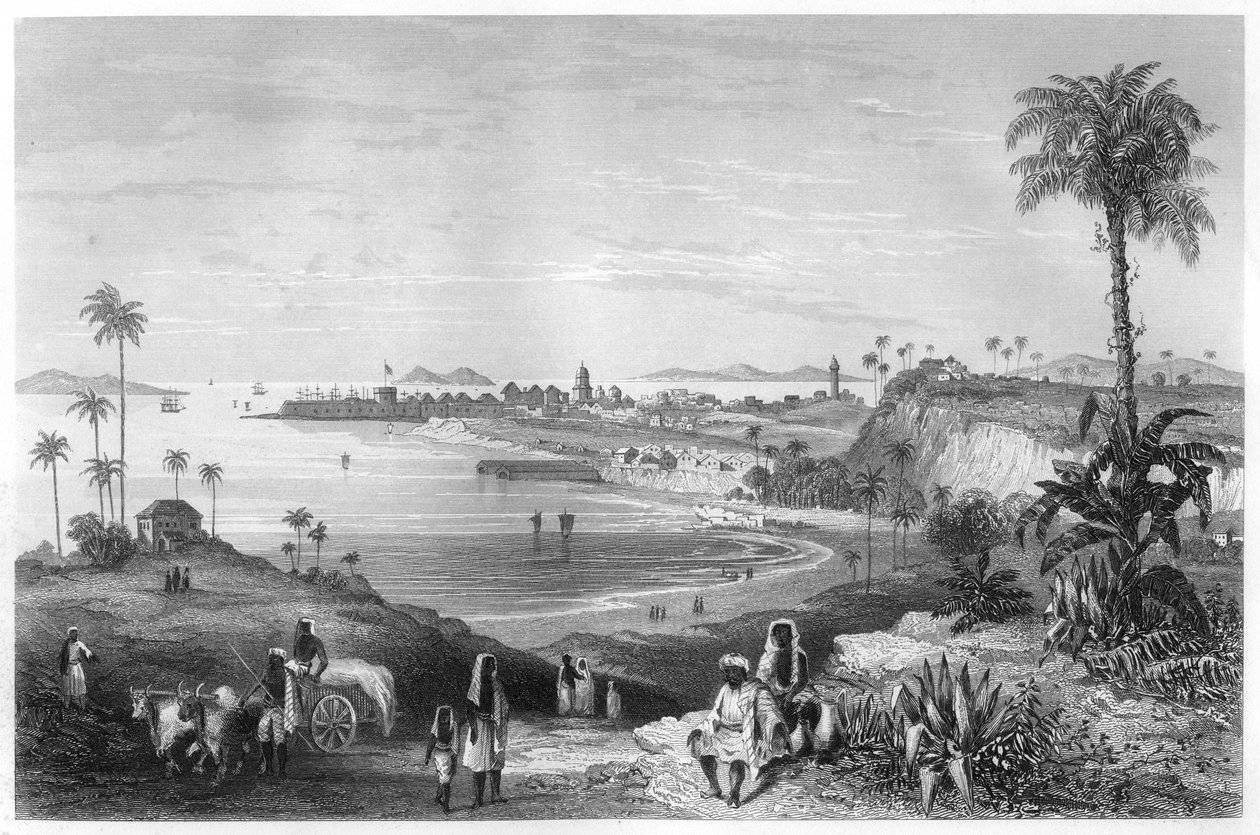 किले को दिखाते हुए बॉम्बे का दृश्य, c1860 द्वारा अज्ञात