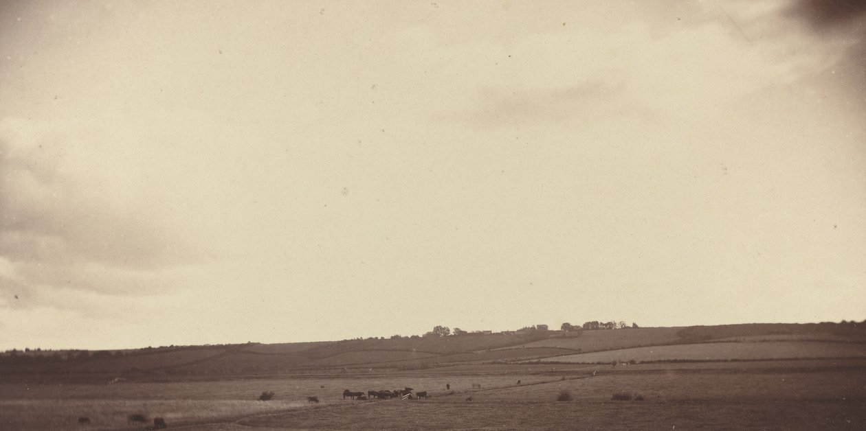 1850-1860 के दशक में गायों वाले खेतों का दृश्य। द्वारा अज्ञात