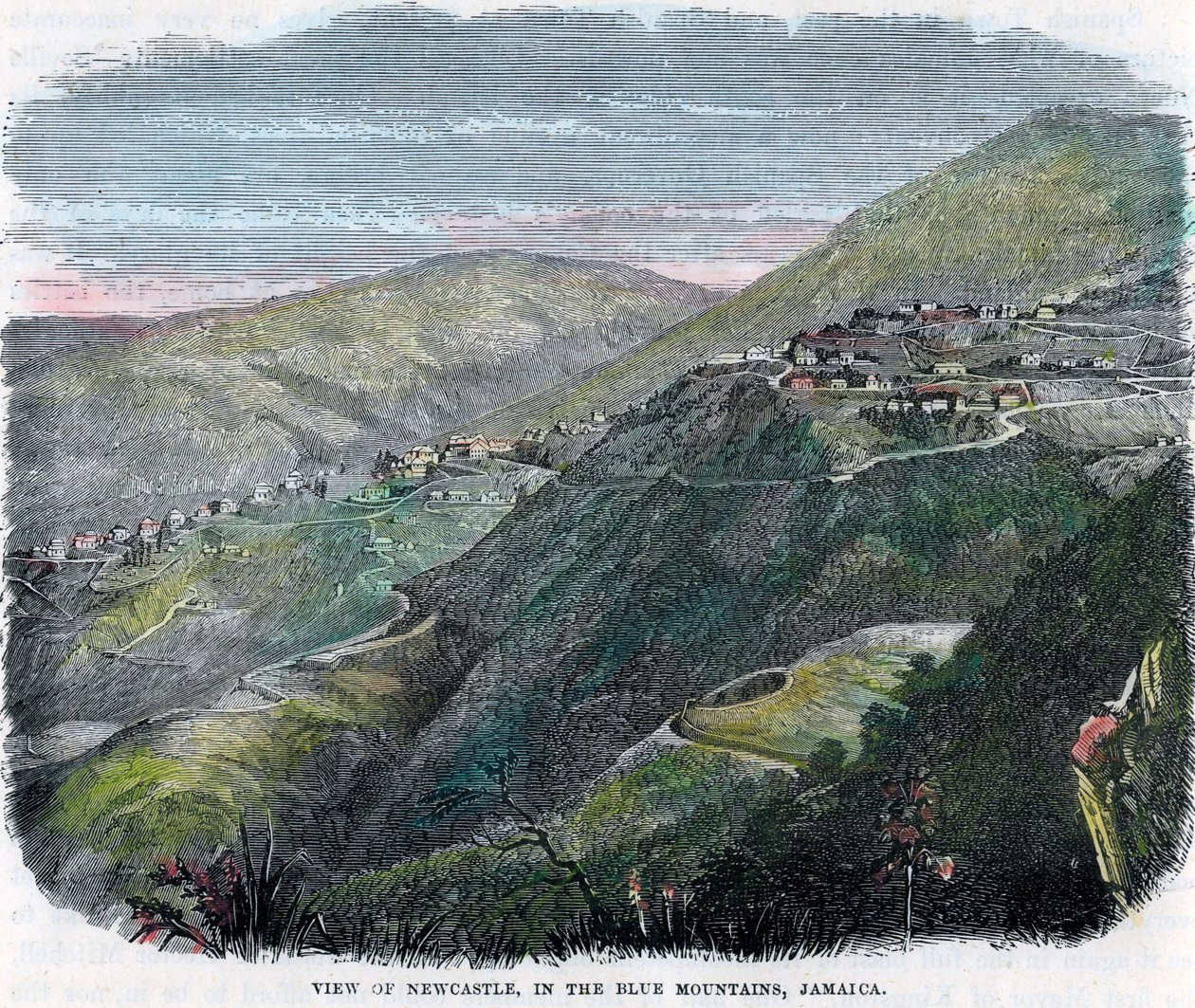 न्यूकैसल का दृश्य, ब्लू पर्वत, जमैका, c1880 में द्वारा अज्ञात